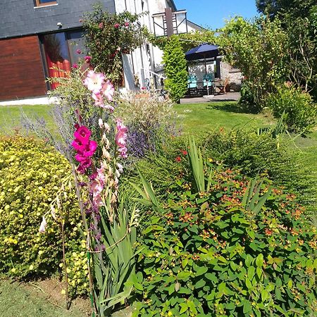 Gite L'Ecole De Ma Mere Villa Bertogne Exteriör bild