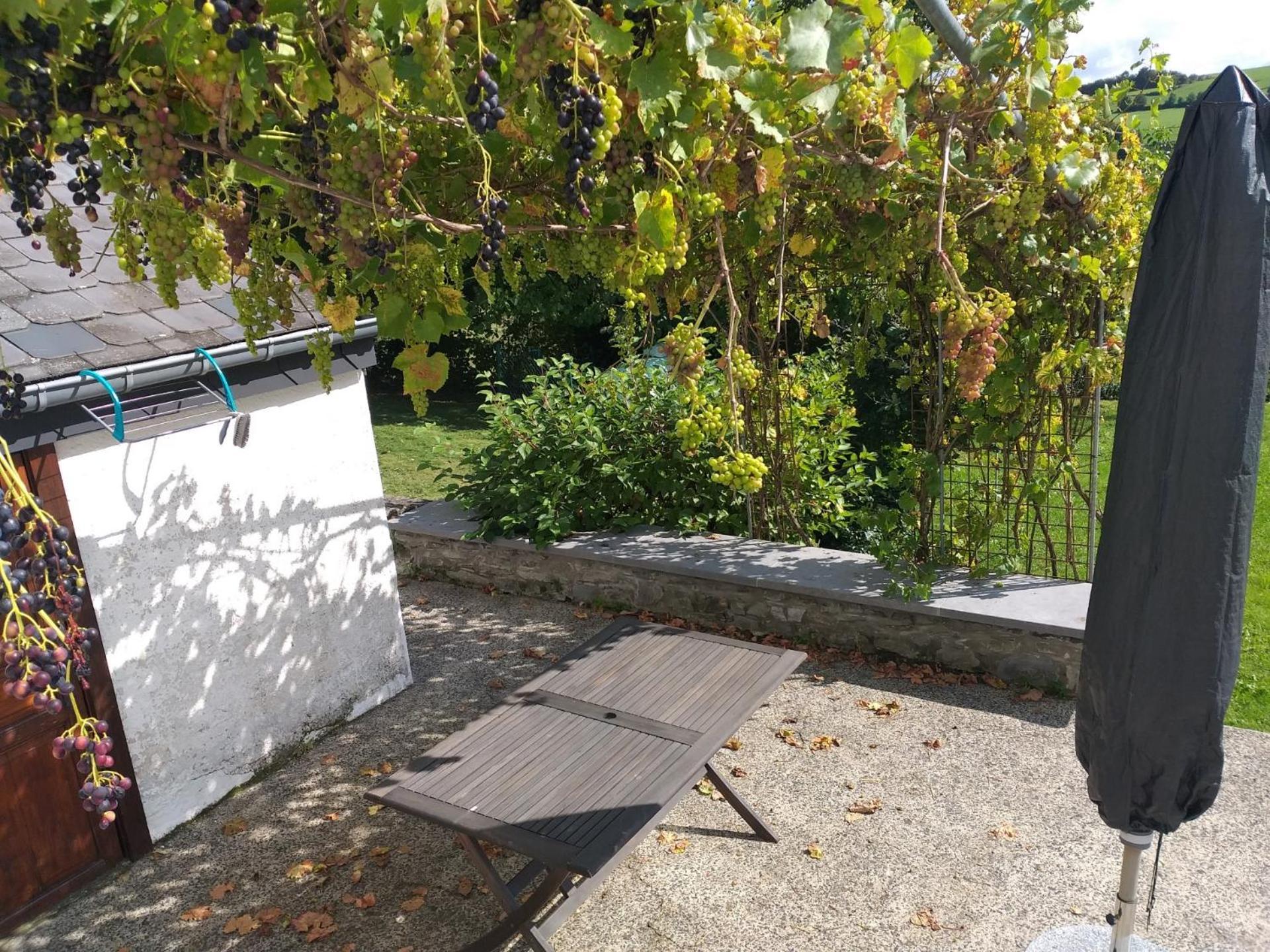 Gite L'Ecole De Ma Mere Villa Bertogne Exteriör bild