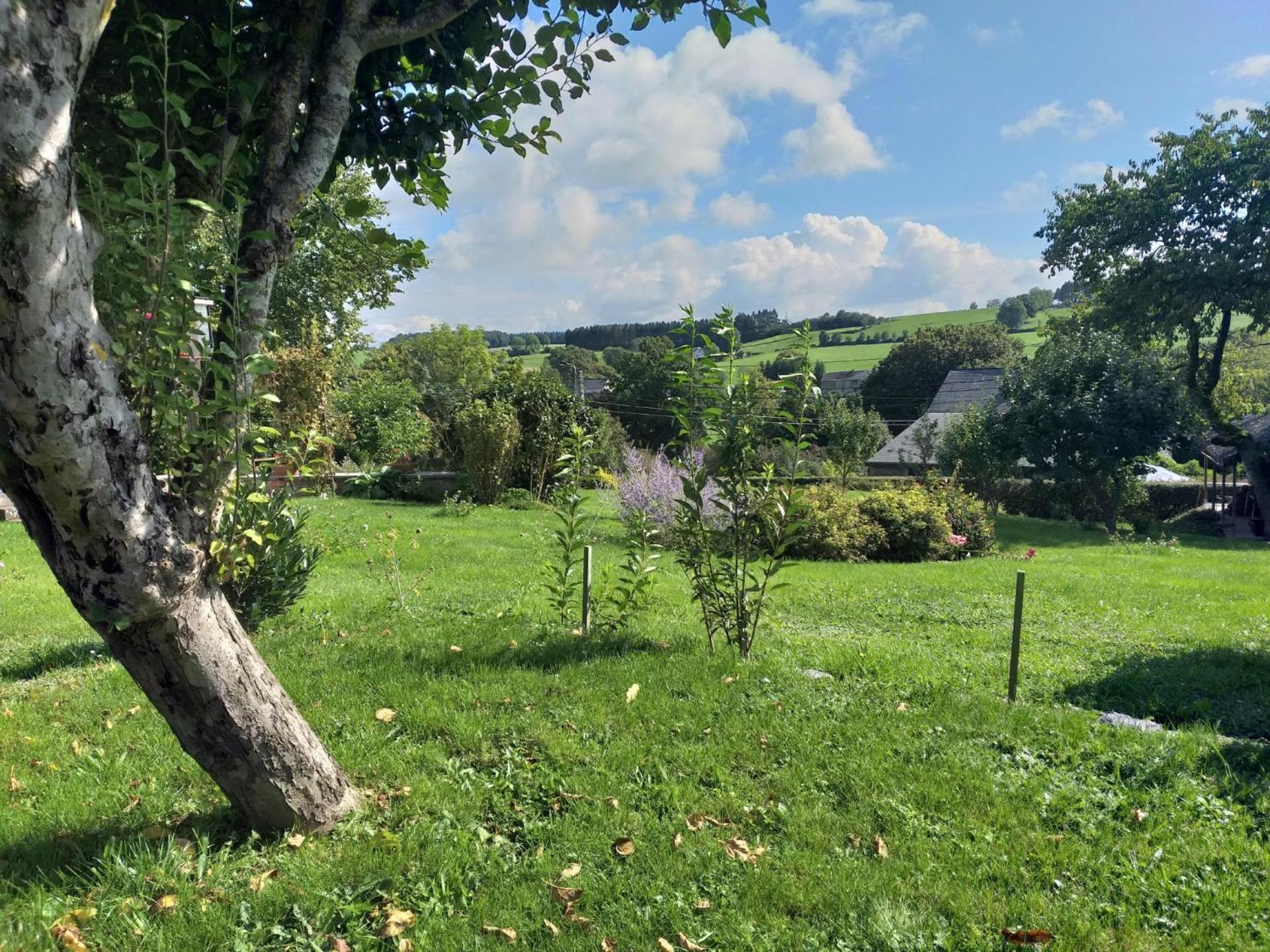 Gite L'Ecole De Ma Mere Villa Bertogne Exteriör bild