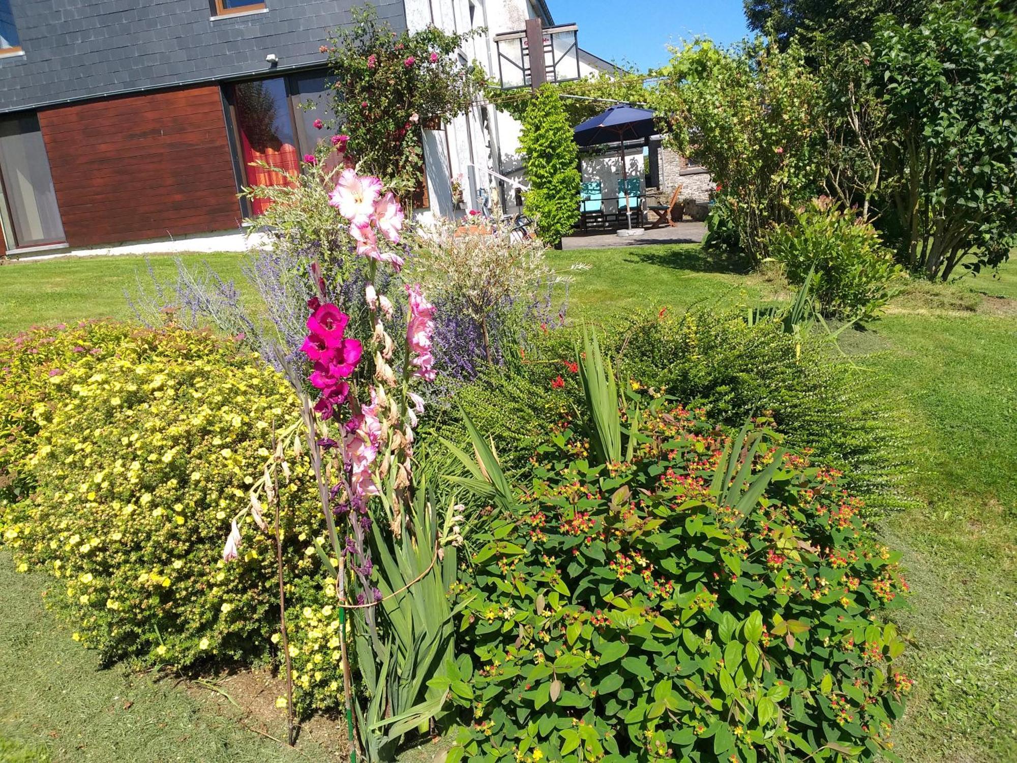 Gite L'Ecole De Ma Mere Villa Bertogne Exteriör bild